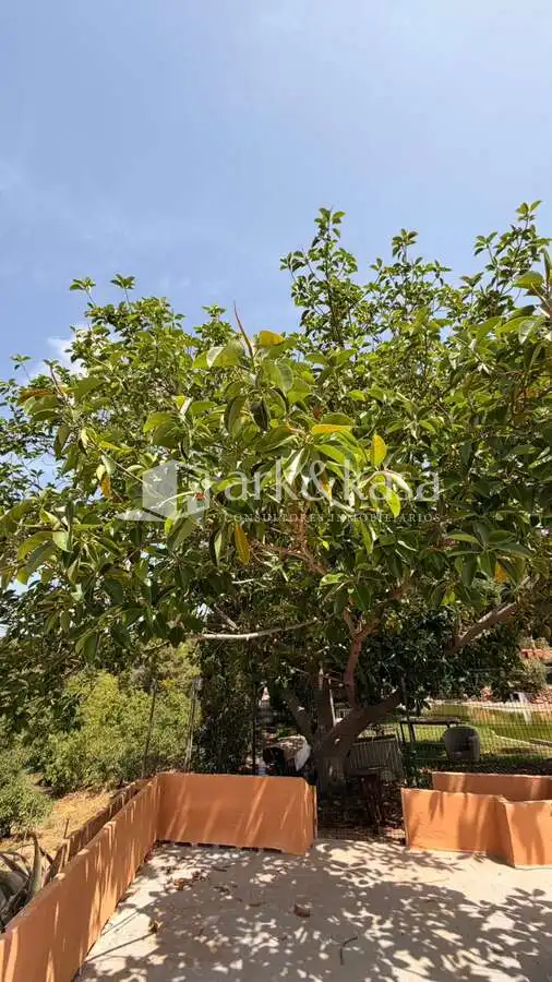 Casa o chalet de alquiler en Sagunto / Sagunt con Aire acondicionado, Jardín privado y Terraza