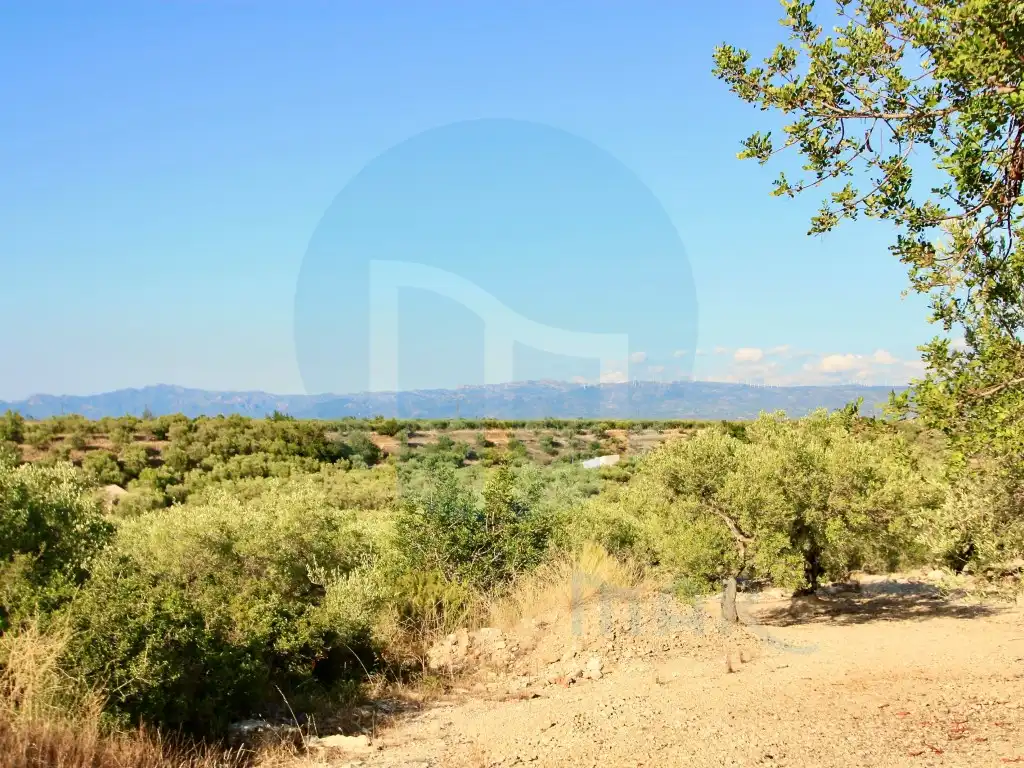 Finca rústica en venta en Roquetes