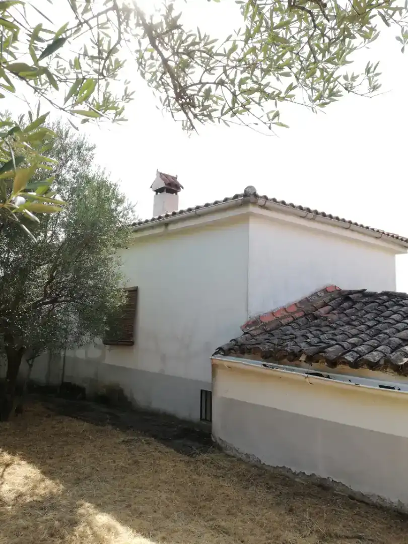 Vista exterior de Finca rústica en venda en Plasencia amb Jardí privat, Traster i Piscina