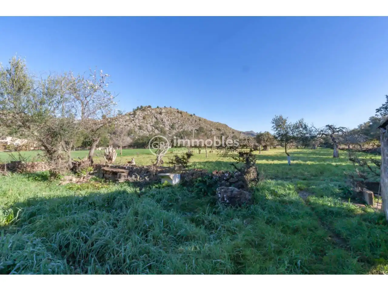 Houses for sale in Pollença Poble