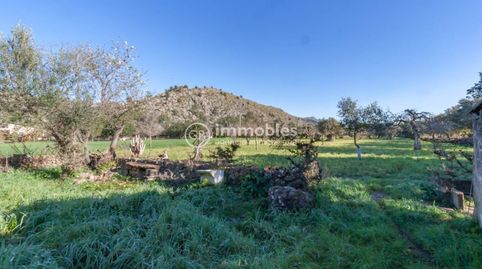 Photo 5 of Houses for sale in Pollença Poble, Pollença