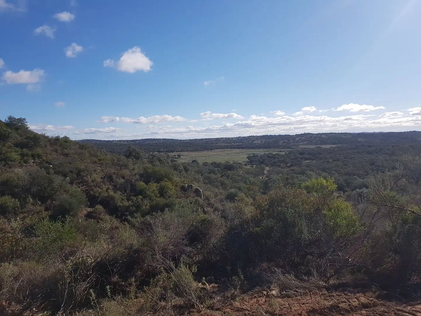 Residential for sale in El Ronquillo