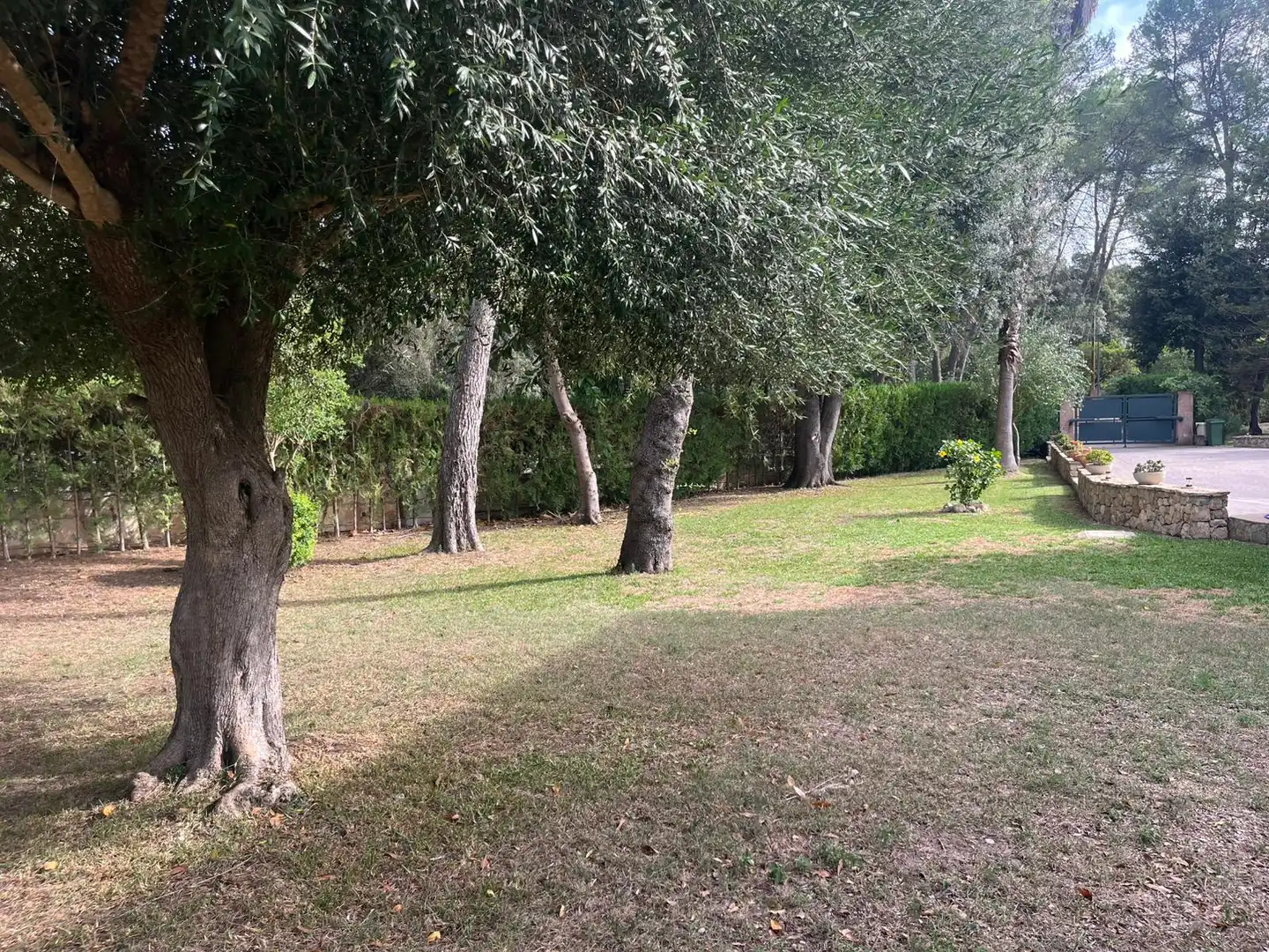 House with terrace for sale in Sa Pobla, imagen 22