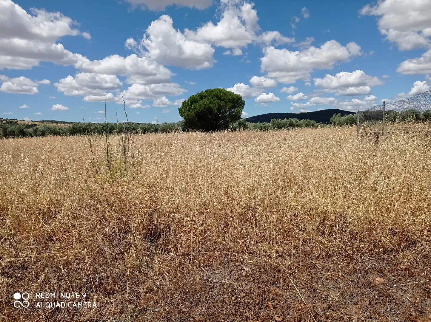 Terreno rustico in vendita a Picón, imagen 2