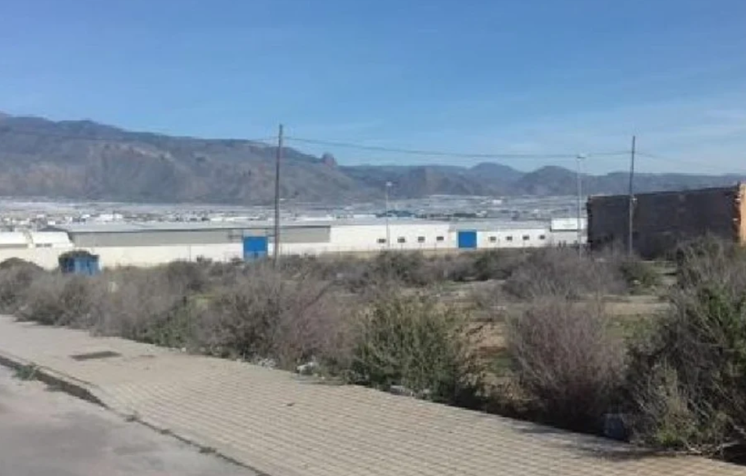 Vista exterior de Residencial en venda en El Ejido