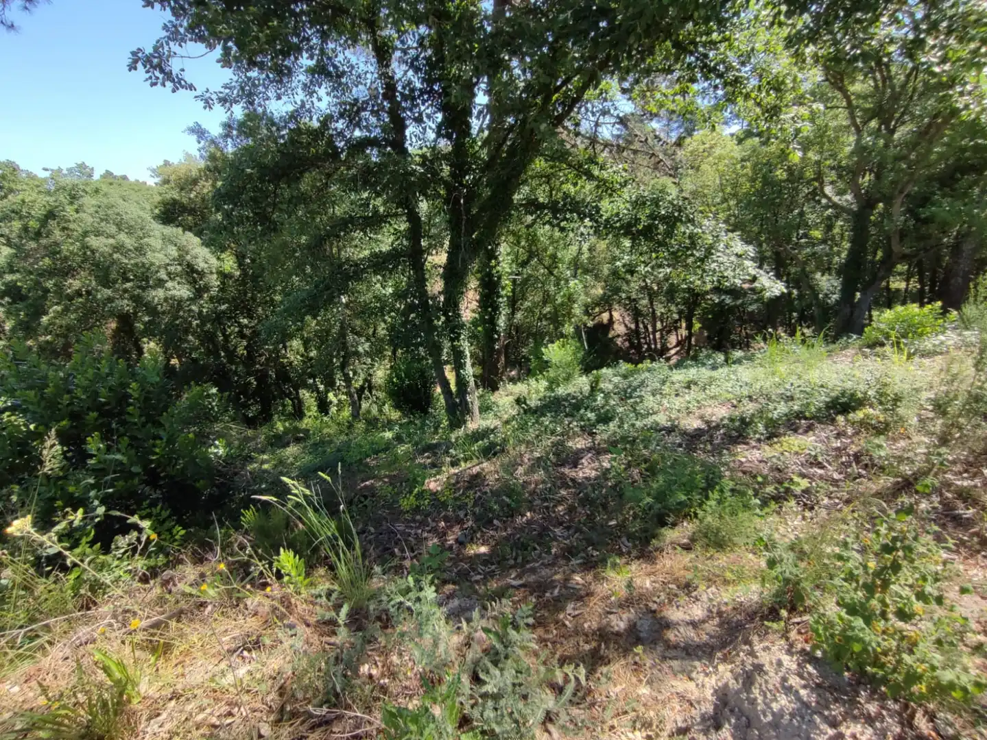 Wohnbaugrundstück zum Verkauf in Carrer les Mimoses, imagen 6
