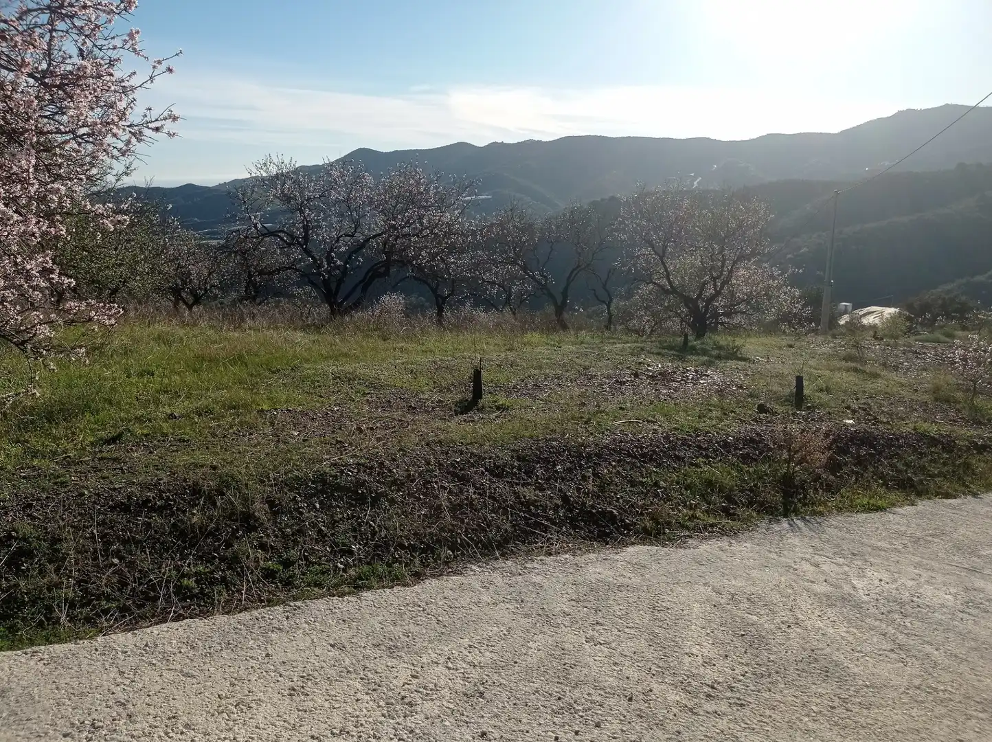 Terreny en venda en Iznate