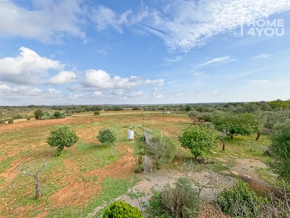 Casa o xalet en venda en Ses Salines amb Aire condicionat, Calefacció i Terrassa