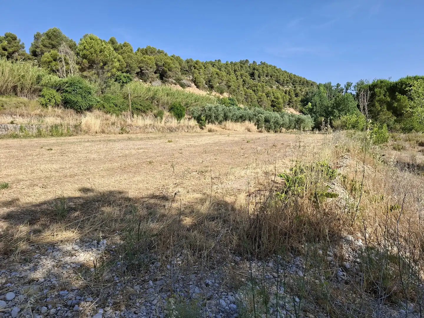 Finca rústica en venda en Mazaleón