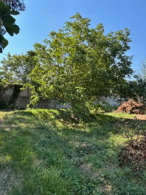 Maison avec jardin à vendre à Loureda - Lañas - Barrañán, imagen 41