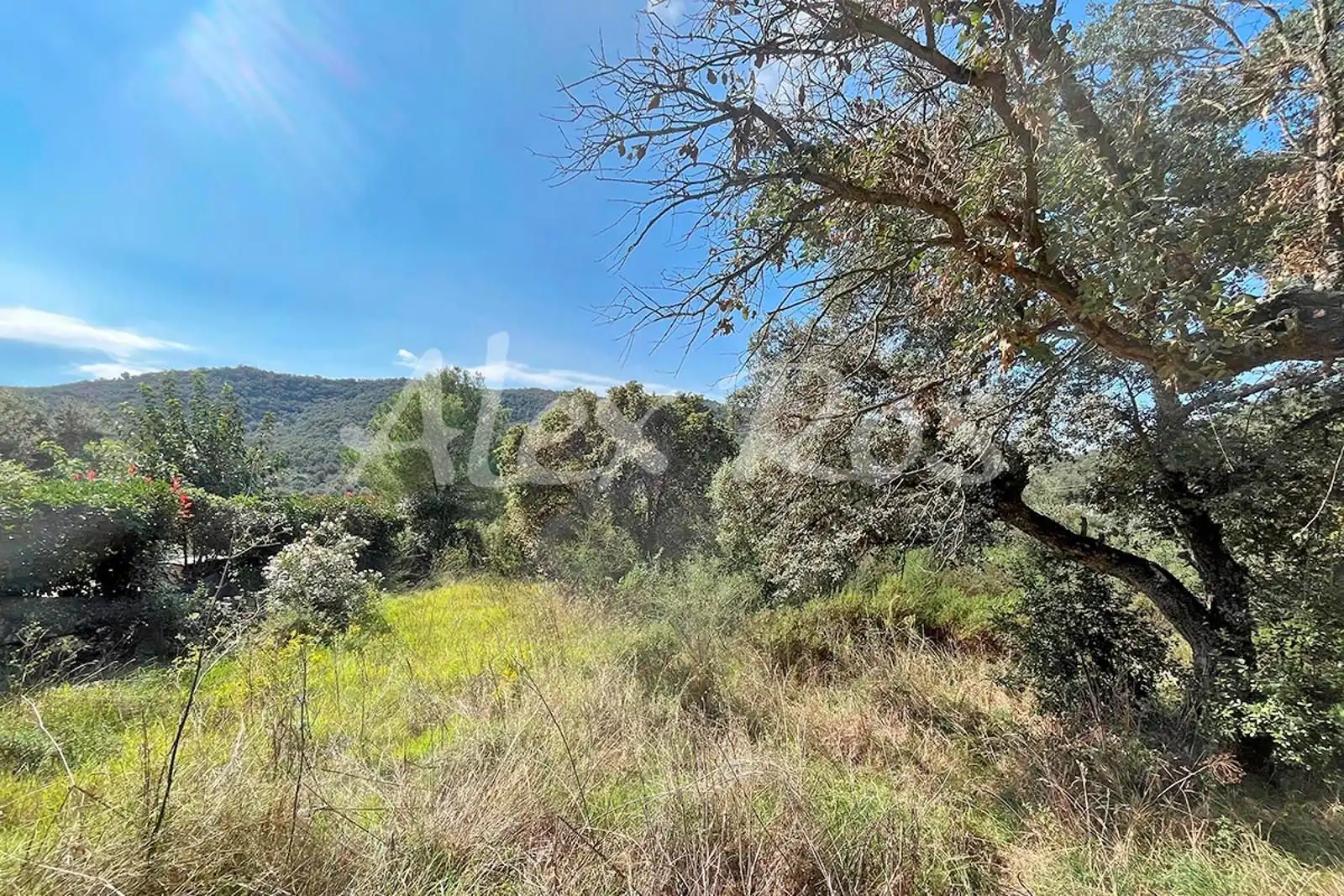 Rural land for sale in Mas Santet, imagen 8