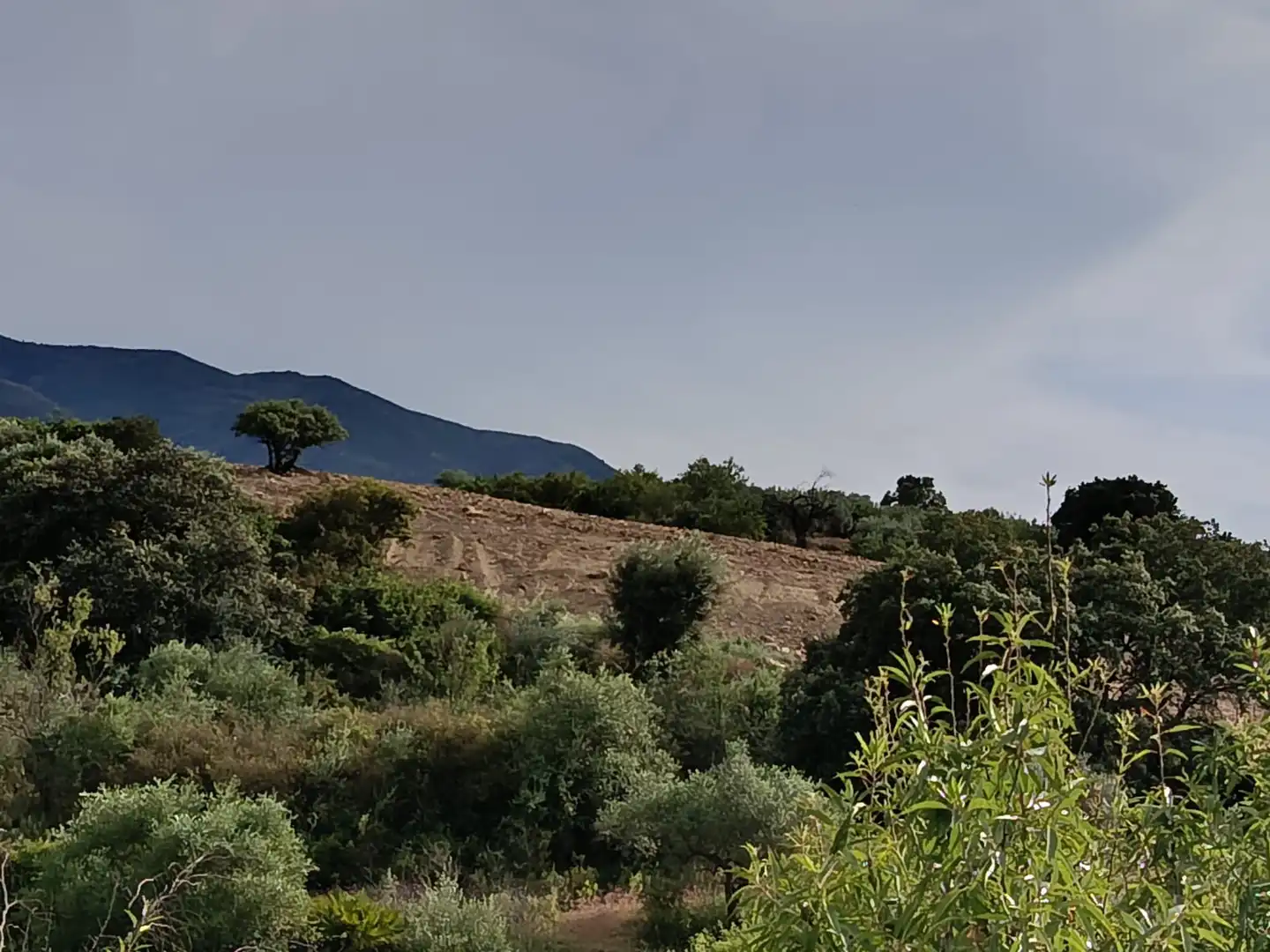 Terreni e lotti in vendita a Alquería - Torrealquería