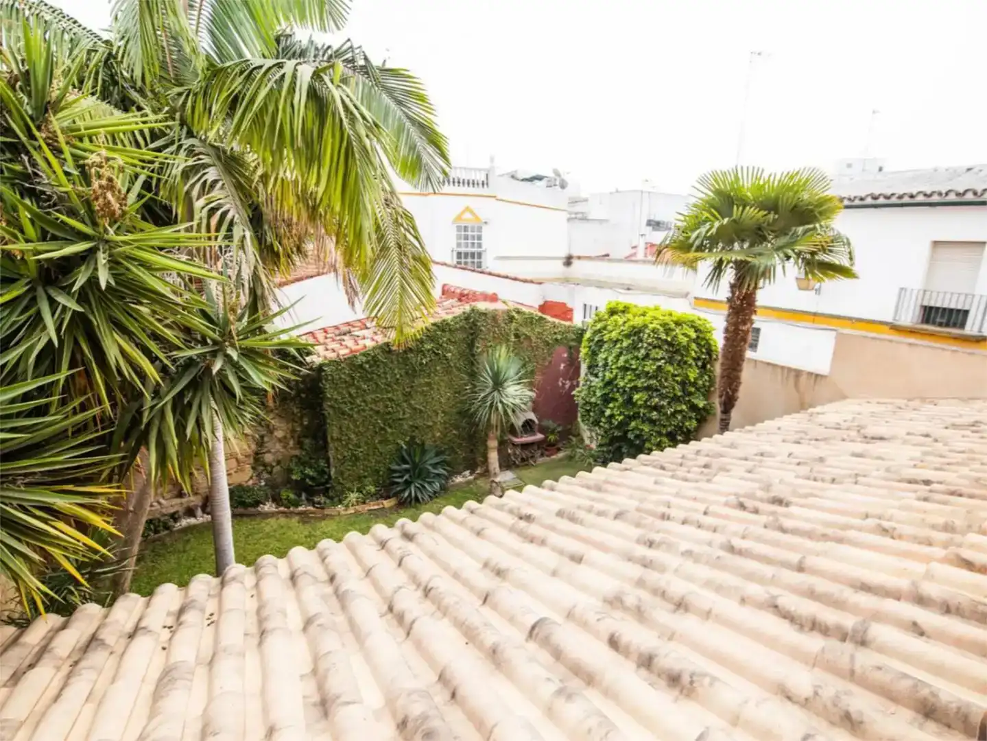 Vista exterior de Casa o chalet en venta en Jerez de la Frontera con Aire acondicionado, Piscina y Balcón