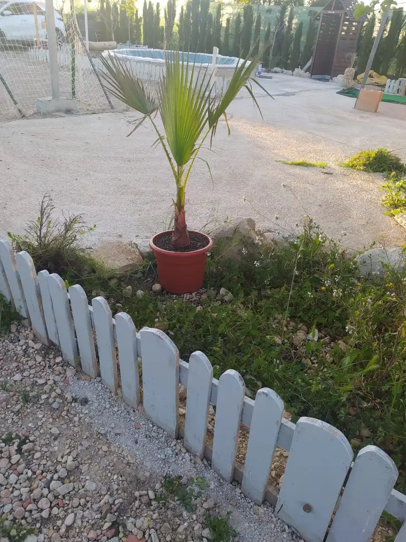 Casa rustica con piscina in vendita a Terreno Diseminados, imagen 17