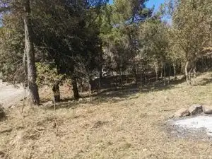 Residential land for sale in Avinguda Joan Miró 89, imagen 9