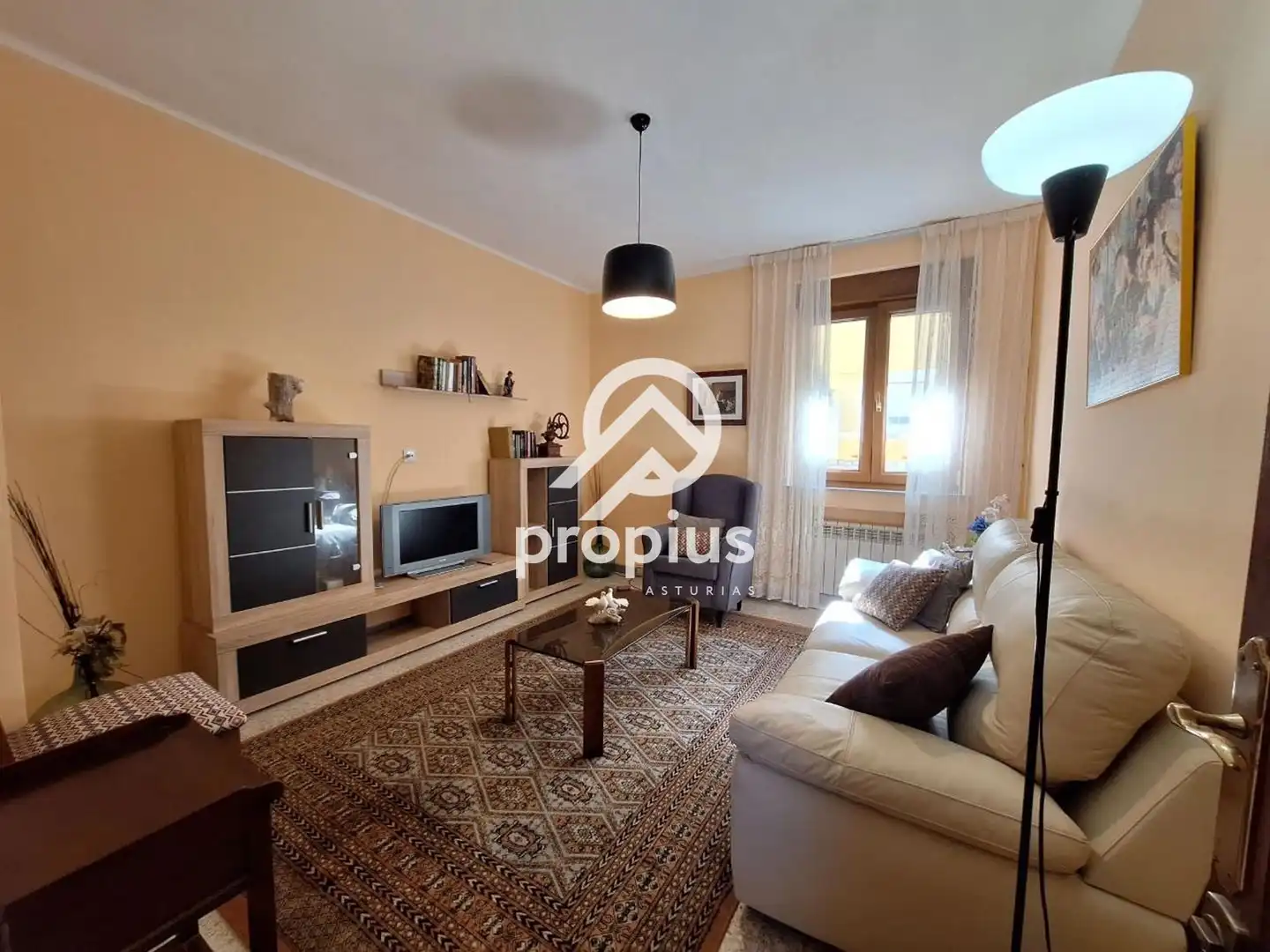 Appartamento con terrazza in vendita a Peñamellera Baja, imagen 13