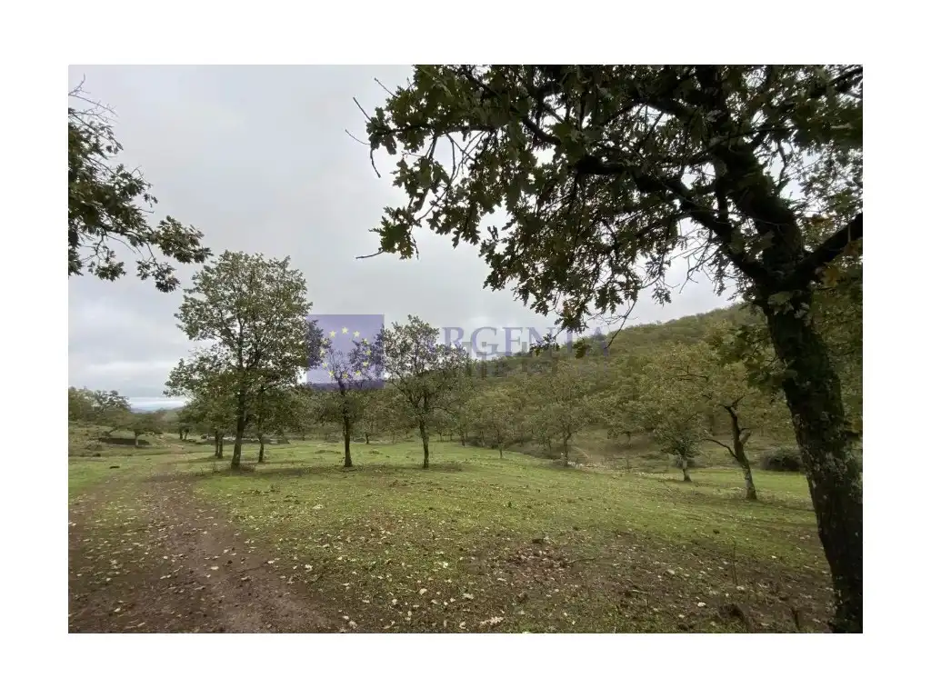 House for sale in Diseminados Carrascal, imagen 14
