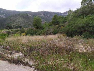 Terreno rústico en venta en Poligono 5