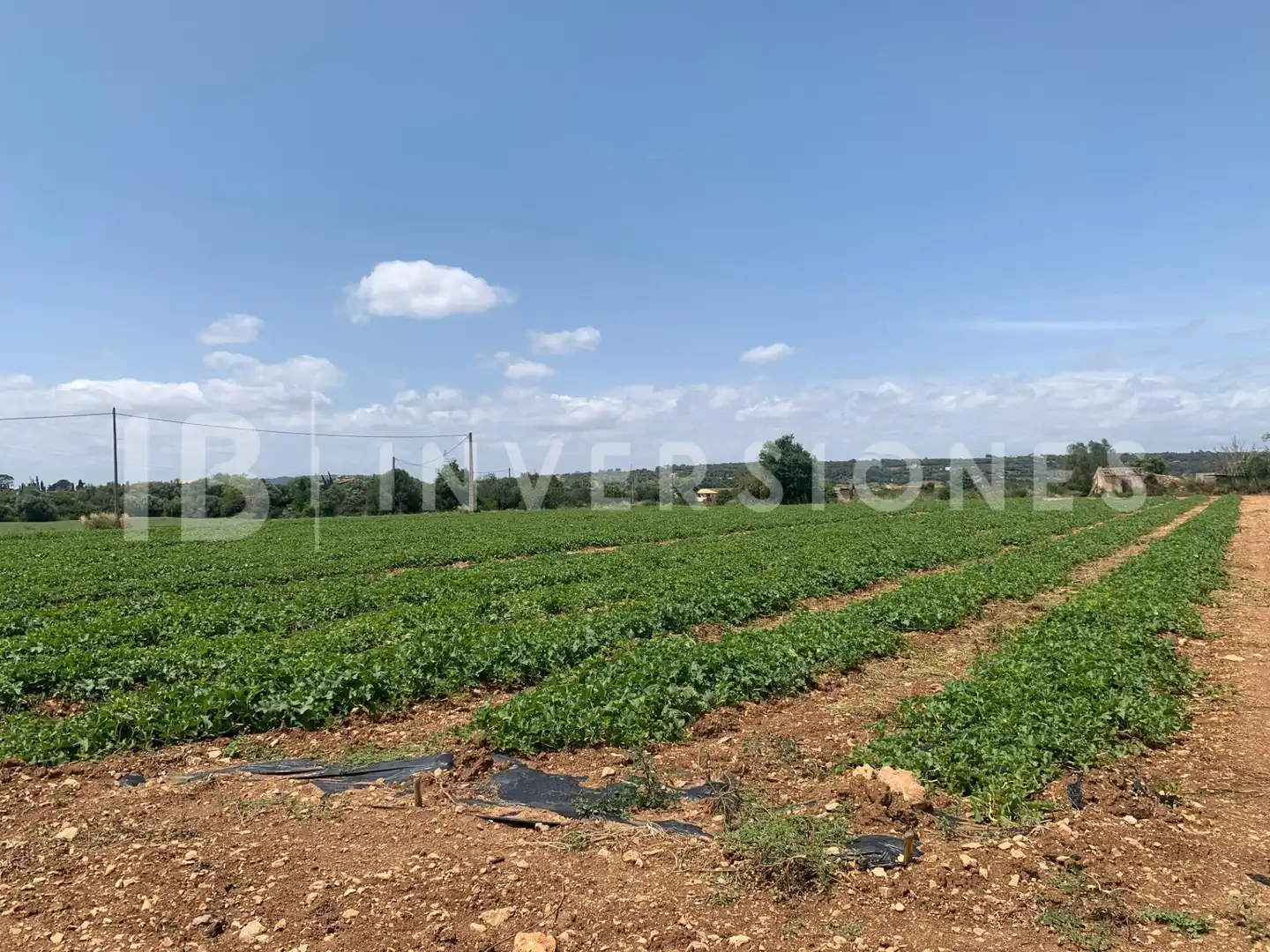Residential land for sale in Polígono Polígono, imagen 3
