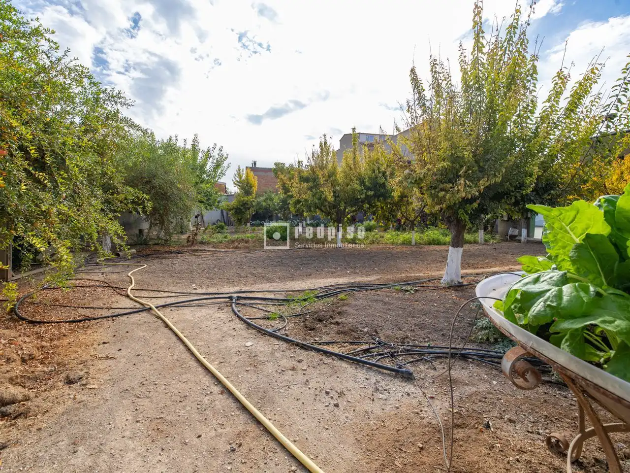 Casa o chalet en venta en Madridejos con Aire acondicionado, Calefacción y Terraza