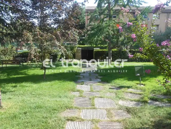 Wohnung mit Pool zur Miete in Avenida Paralela, imagen 12