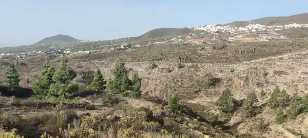 Land for sale in Granadilla de Abona