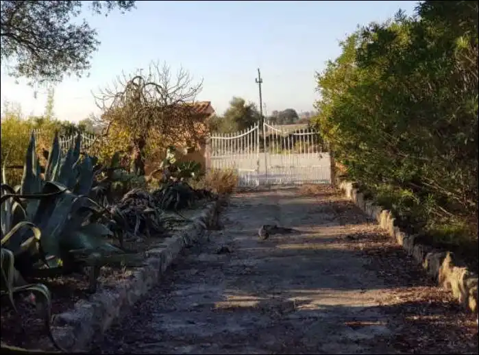 Autres à vendre à SON ALEGRE, imagen 14