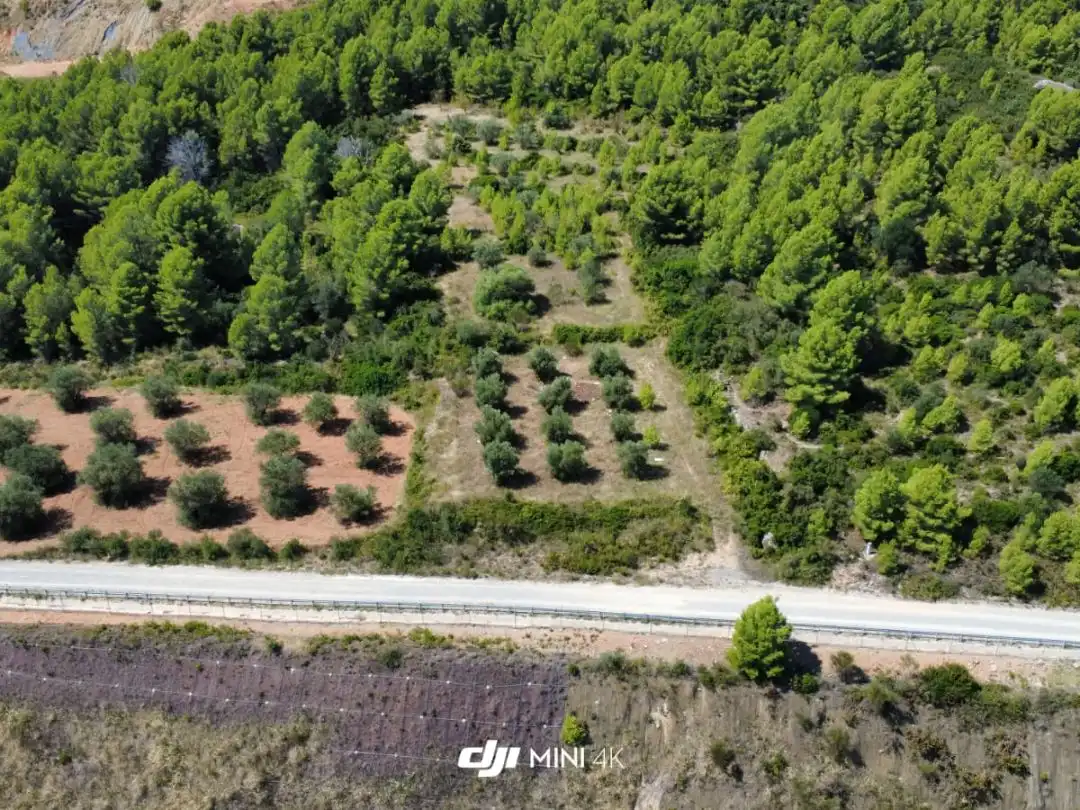 Terreno rustico in vendita a N-IIa 11, imagen 4
