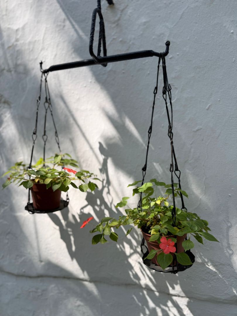 Garden of House or chalet for sale in Algeciras  with Private garden, Terrace and Storage room