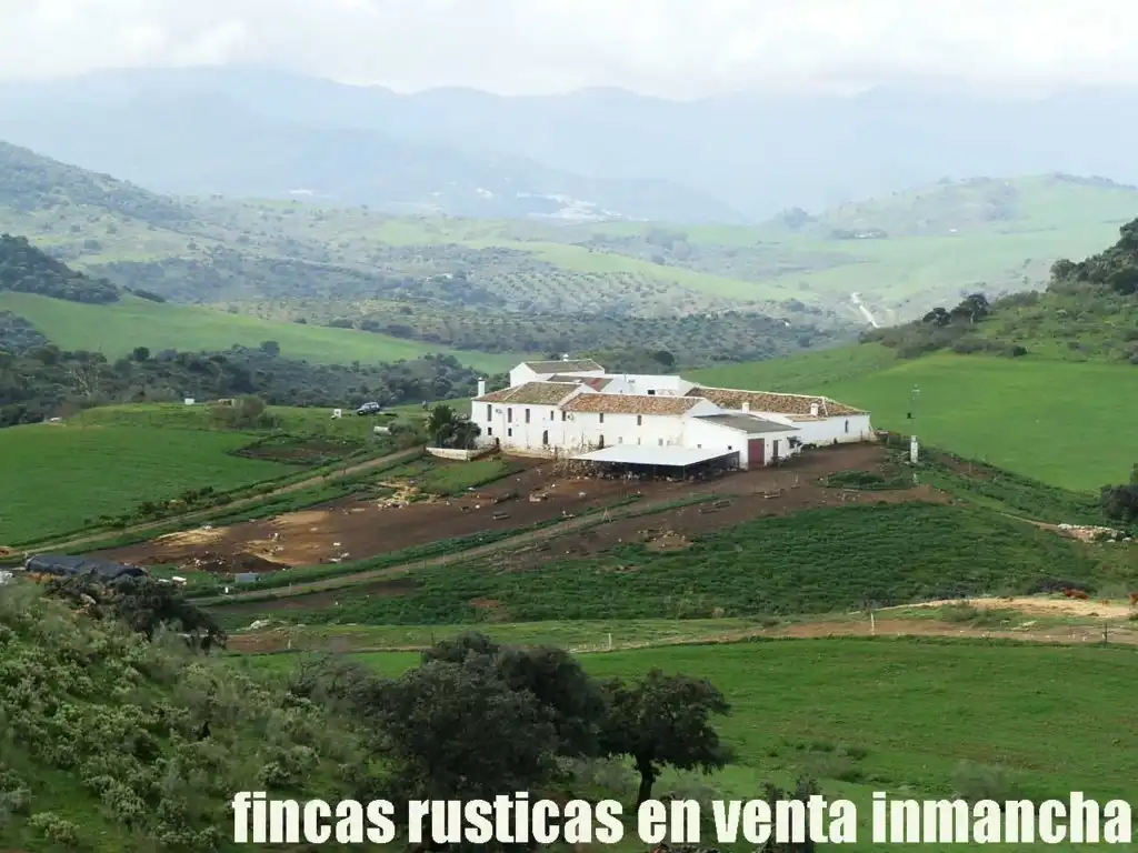 Terreno rustico in vendita a Algodonales, imagen 4