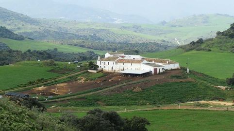 finca en venta 380 has. ganadera labor en Algodonales (Cadiz), immagine 4