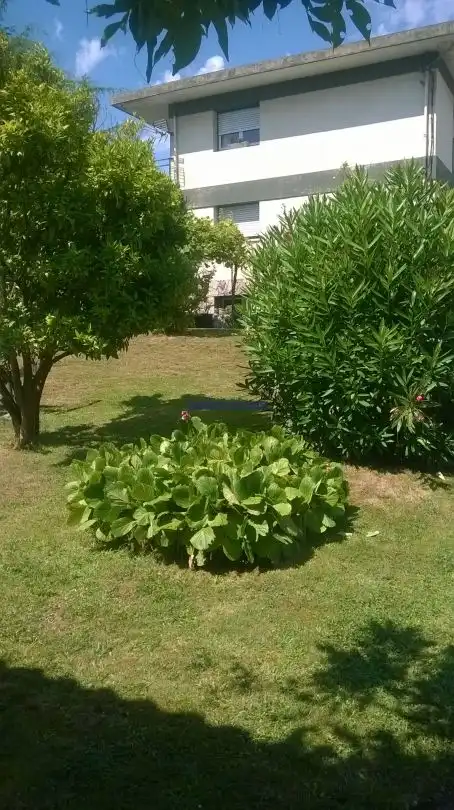 Jardín de Casa o chalet en venta en Getxo  con Calefacción, Jardín privado y Terraza