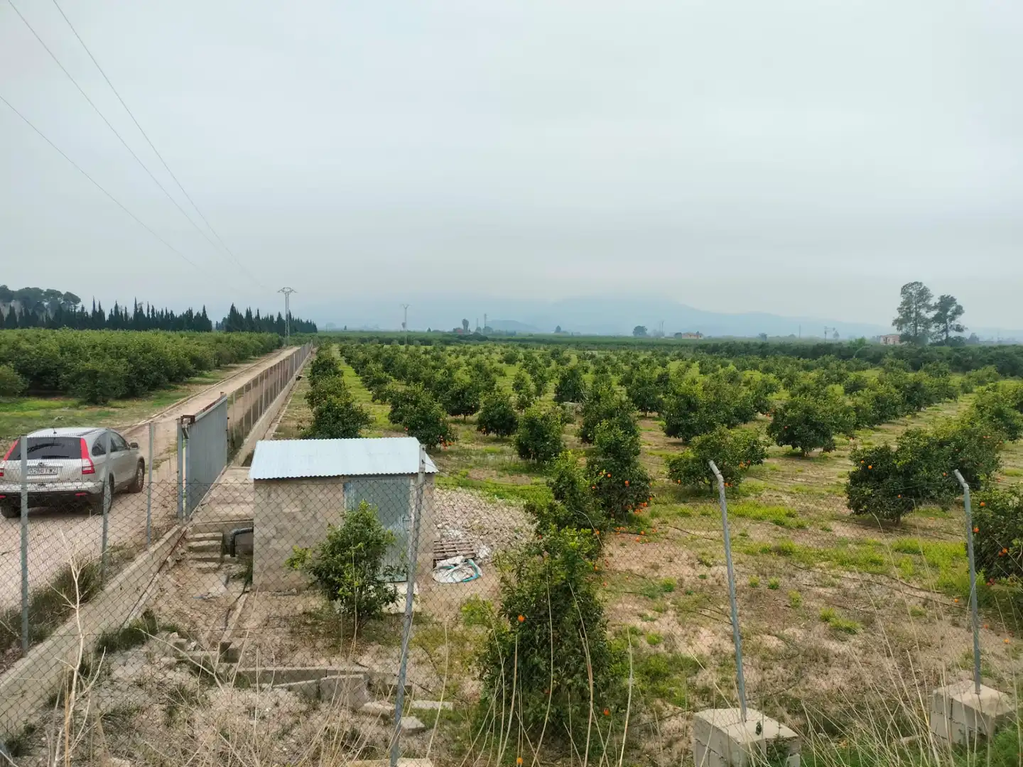 Rural land for sale in Sollana, imagen 4