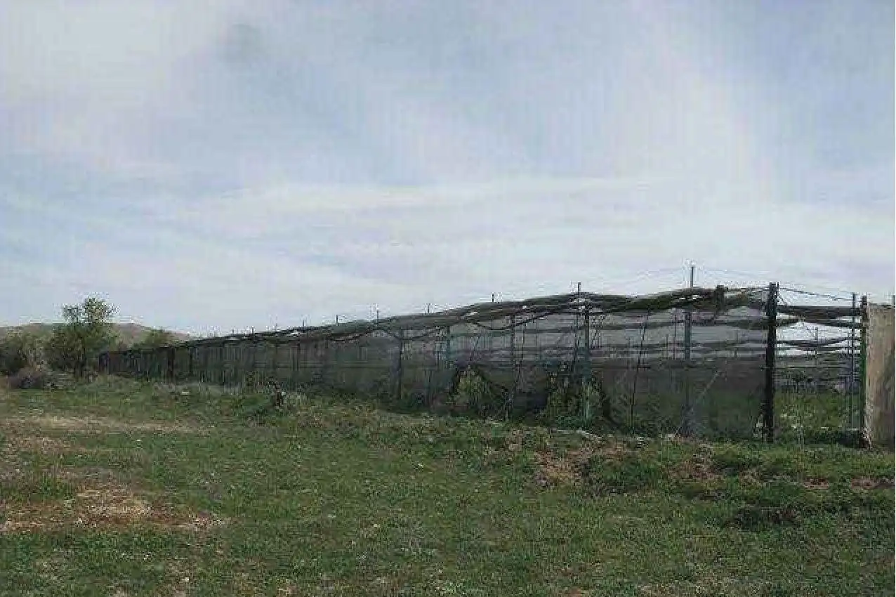 Rural land for sale in Cm Orce, imagen 11