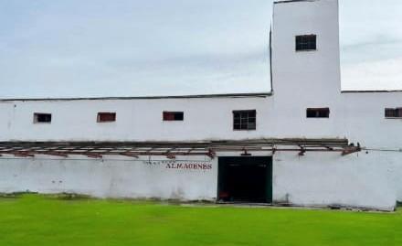 Photo 5 of Industrial buildings for sale in Las Aves, Madrid