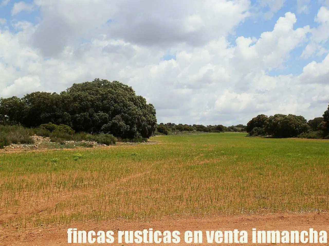 Terreno rustico in vendita a Ruidera, imagen 17
