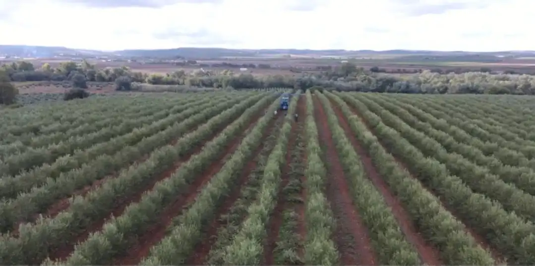 Terrenos y solares en venta en Hellín