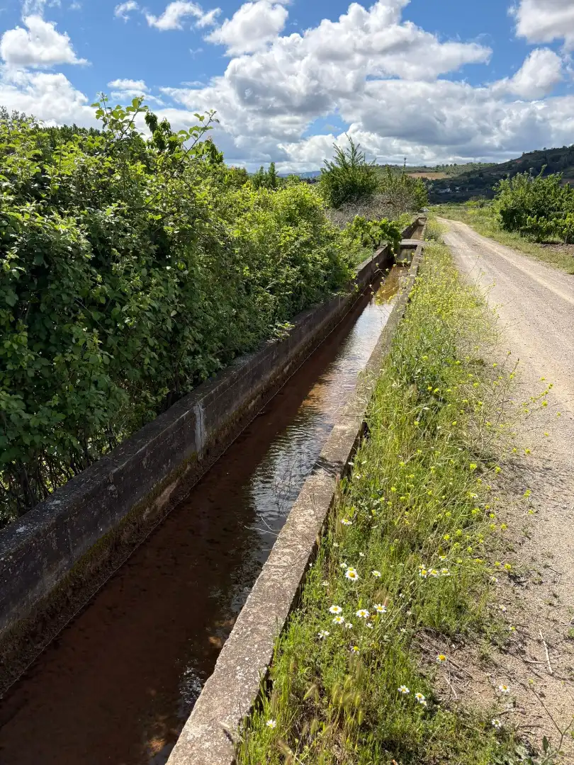 Rustikales Grundstück zum Verkauf in Cenicero, imagen 12