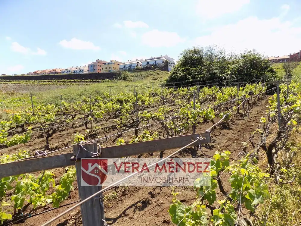 Finca rústica en venta en El Sauzal