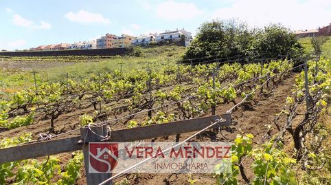 Foto 5 de Finca rústica en venda a Salto del Gato, El Sauzal, Santa Cruz de Tenerife