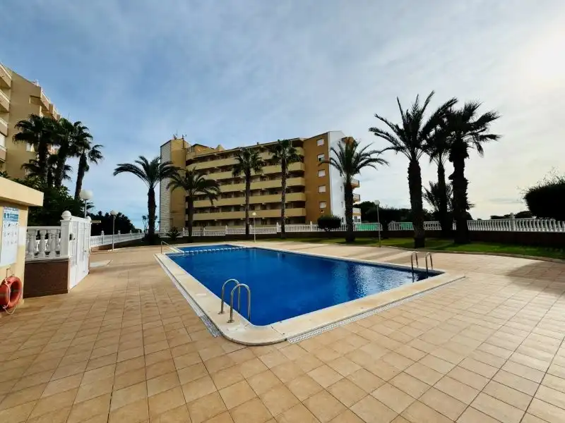 Apartament amb piscina en venda a La Mata, imagen 4