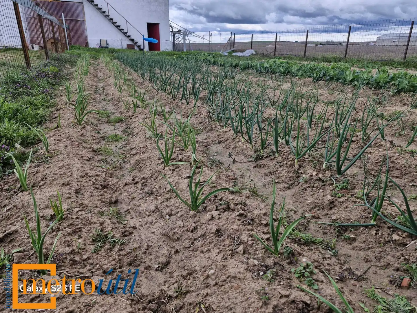 Land for sale in Babilafuente