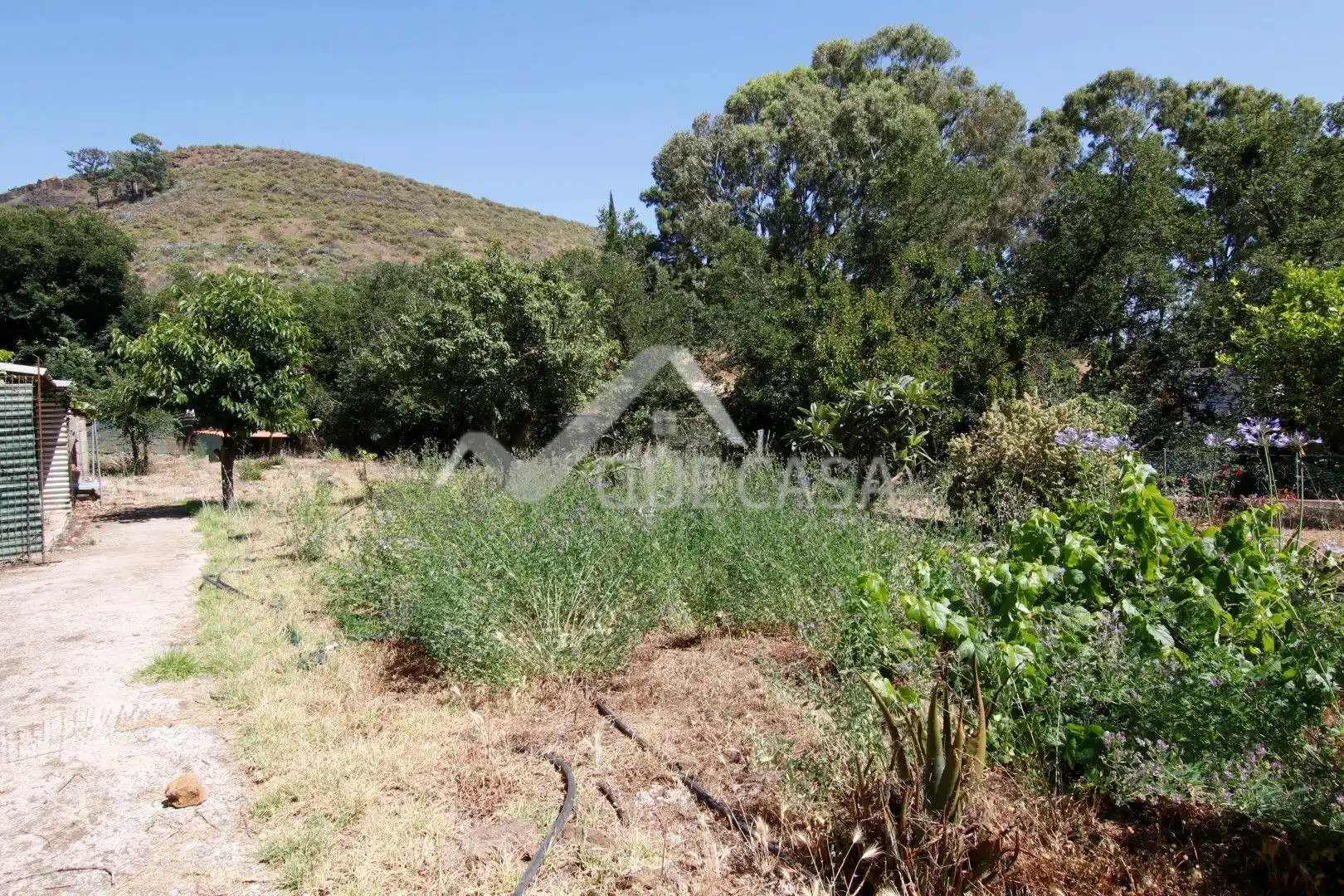 Terreno en venta en Vega de San Mateo