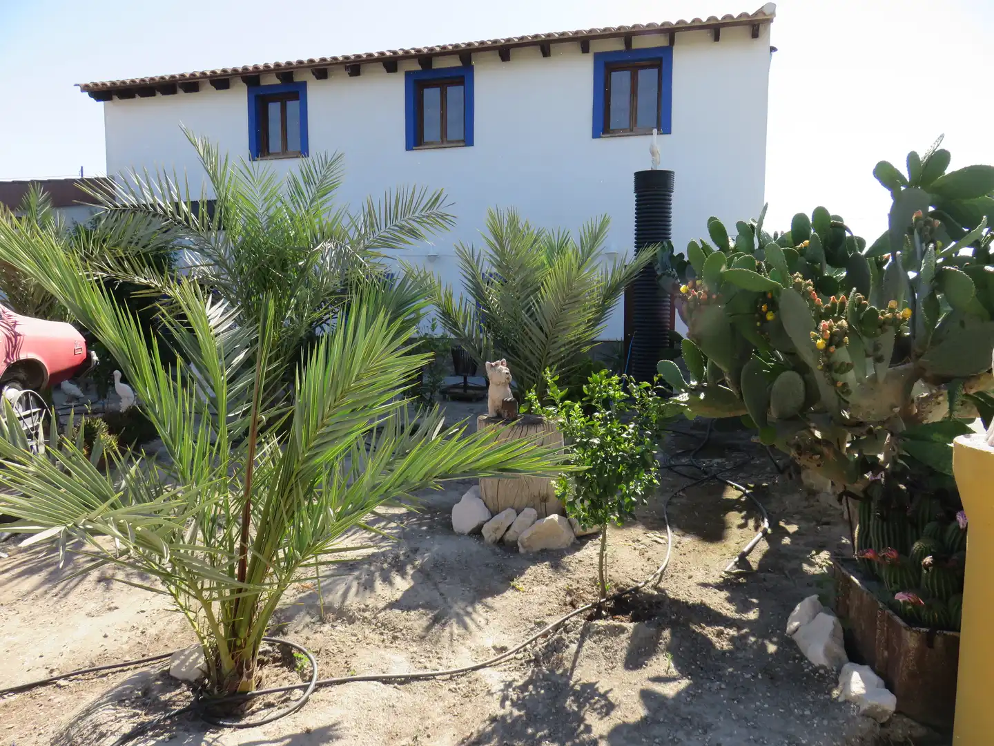 Jardín de Finca rústica en venta en Murcia con Jardín privado, Terraza y Trastero