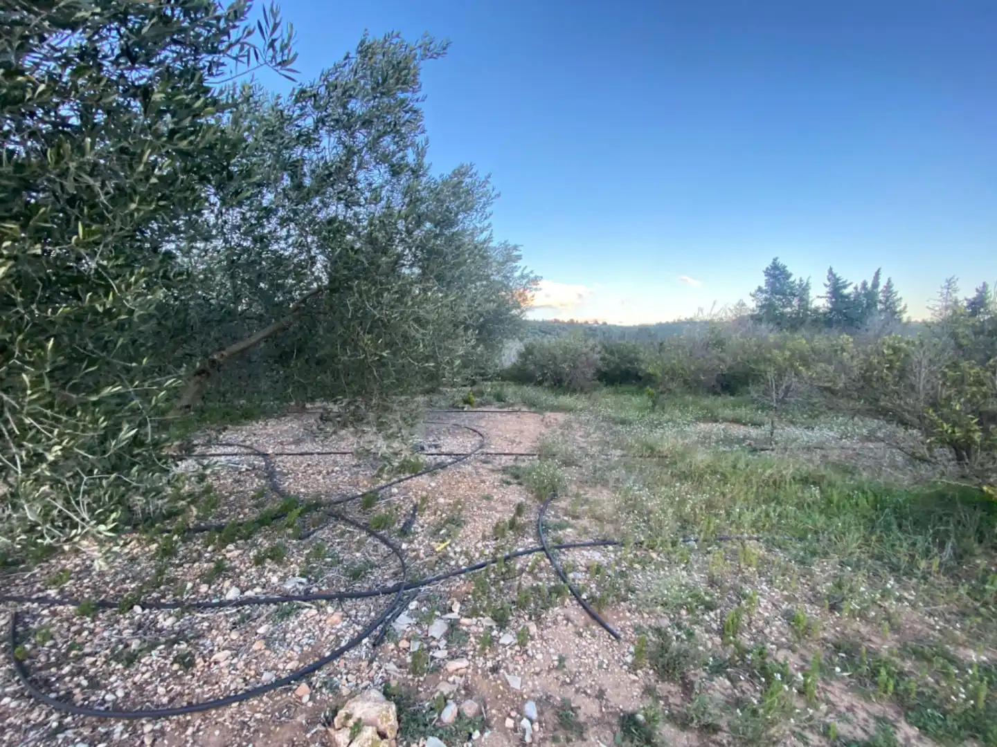 Finca rústica en venda en Masdenverge amb Piscina