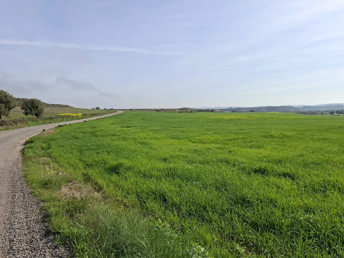 Terreni e lotti in vendita a Huerta Rimer de Alla, imagen 13