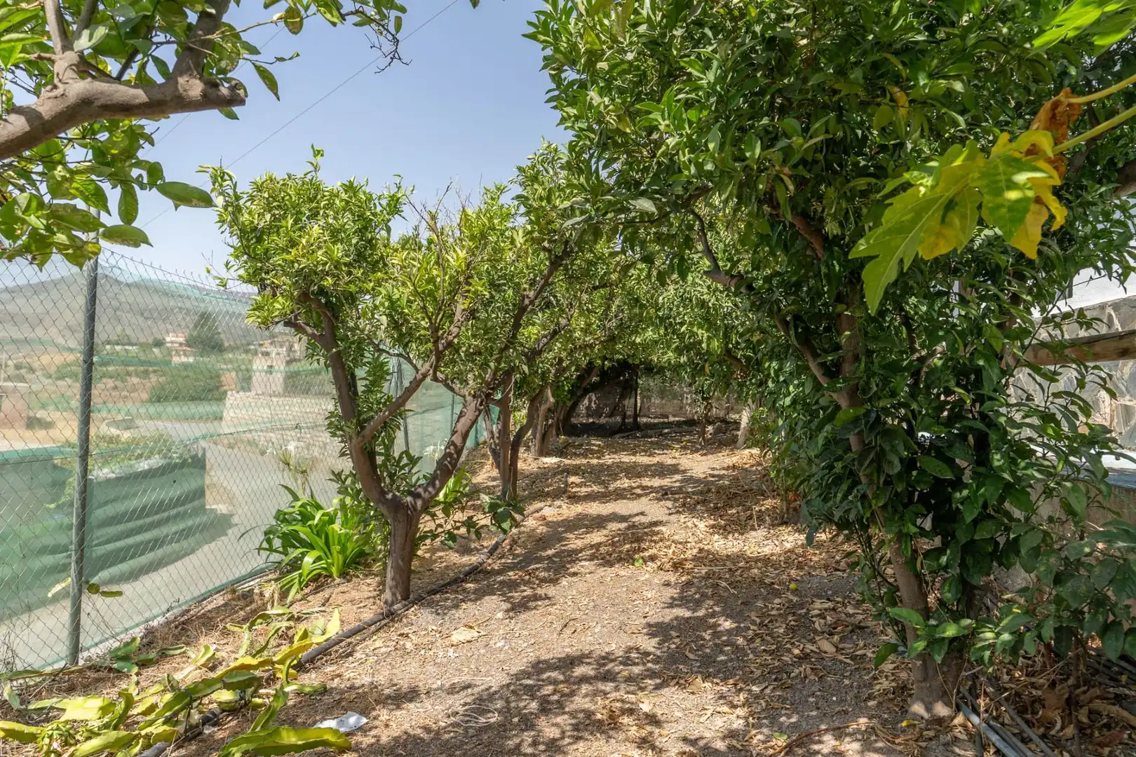Jardín de Casa o chalet en venta en Molvízar con Terraza y Piscina