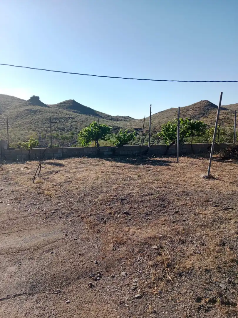 Terreny en venda en Senés