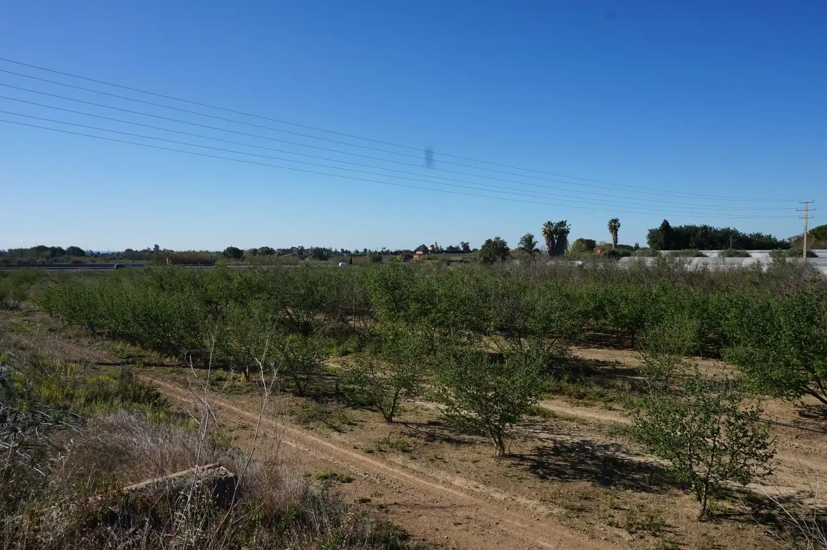 Terrenys i solars en venda a Planes del Roquis, imagen 7
