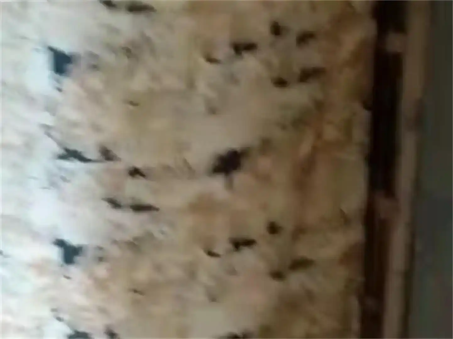 Casa o xalet en venda en Magaz de Cepeda amb Balcó